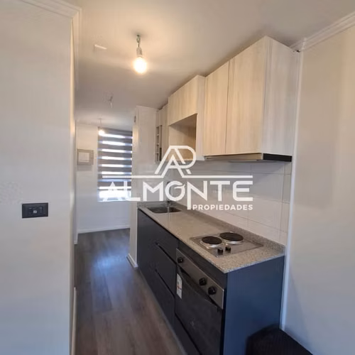 ARRIENDA HOME STUDIO  SECTOR COLLAO COINCEPCIÓN - Imagen 10