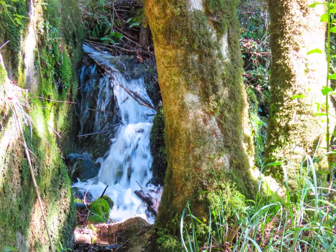 EXCLUSIVIDAD! TU PROPIA ORILLA DE LAGO EN EL CABURGUA