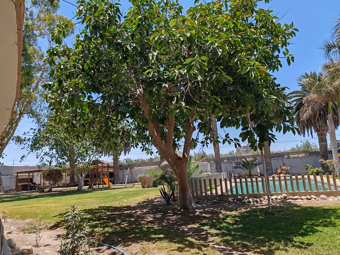 CONDOMINIO JARDIN AZAPA ZONA RESIDENCIAL