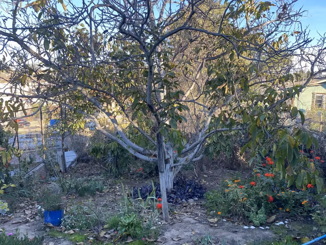 Propiedad 774 m2, Las Rosas