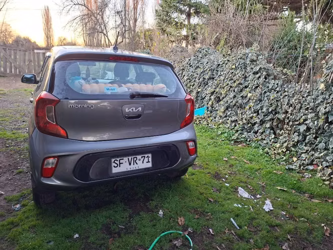 Kia morning año 2023