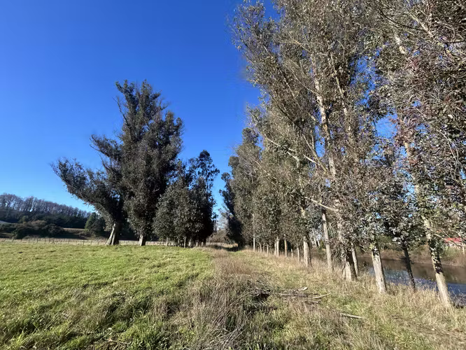 SE VENDE ESPECTACULAR PARCELA A 15 MN DE  OSORNO