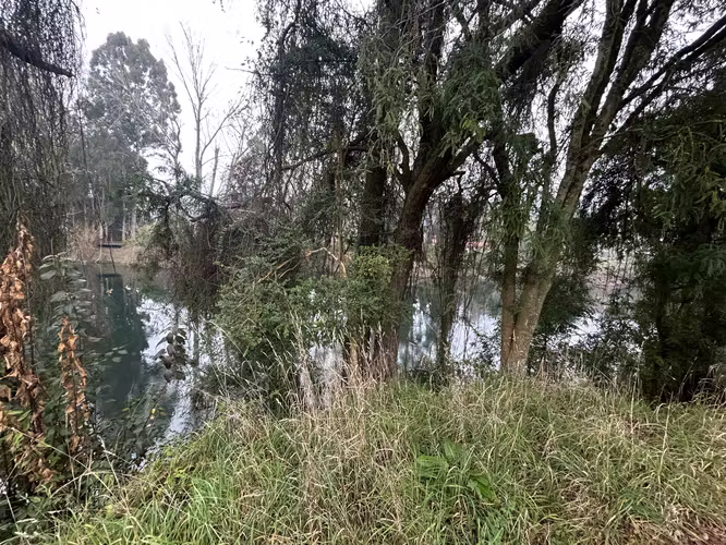 SE VENDE ESPECTACULAR PARCELA A 15 MN DE  OSORNO
