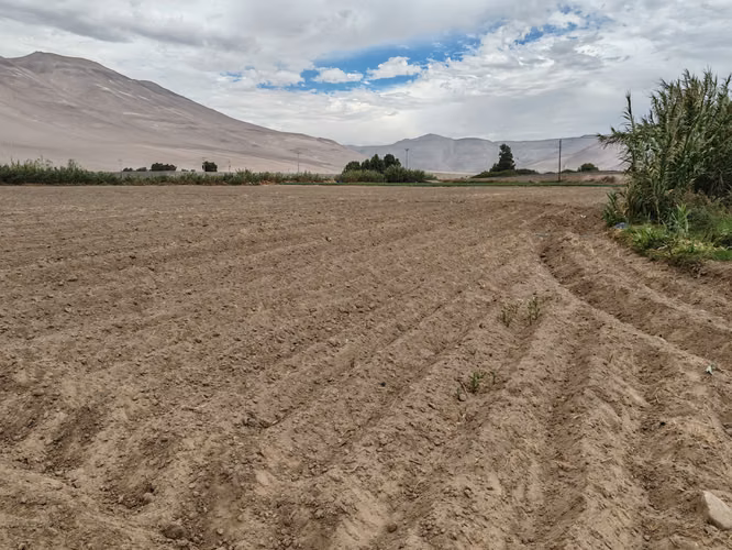 VALLE DE LLUTA TIERRA CULTIVABLE  ORILLA DE CAMINO - Imagen 12