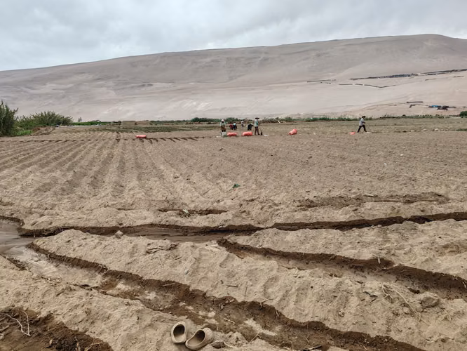 VALLE DE LLUTA TIERRA CULTIVABLE  ORILLA DE CAMINO - Imagen 11