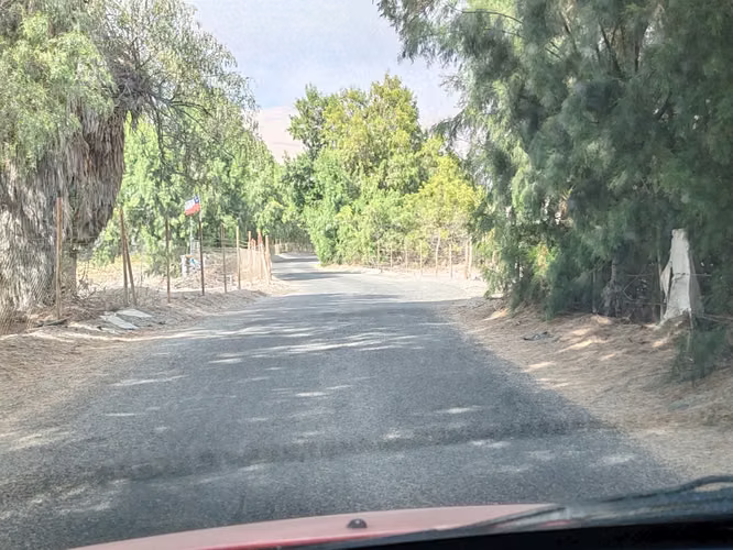 VALLE DE LLUTA VENTA DESDE 1/2 HA HASTA MAS DE 6 HA - Imagen 10