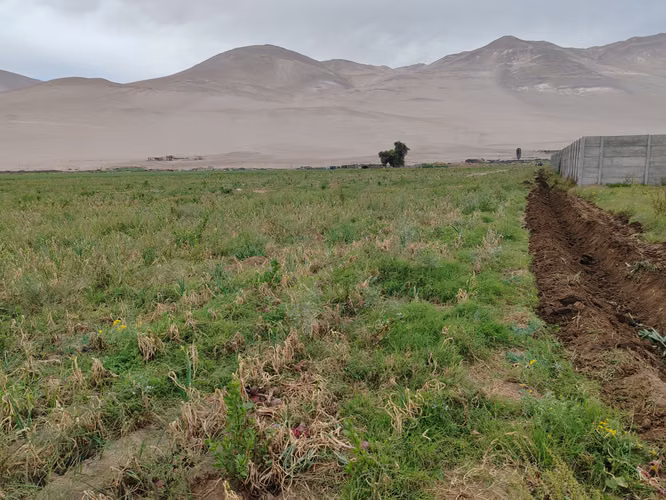 VALLE DE LLUTA TIERRA CULTIVABLE  ORILLA DE CAMINO - Imagen 13