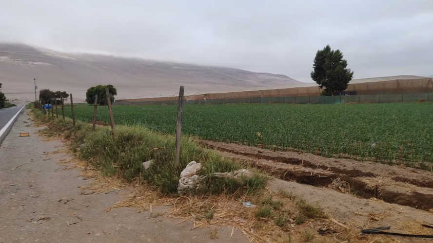 VALLE DE LLUTA VENTA DESDE 1/2 HA HASTA MAS DE 6 HA - Imagen 6