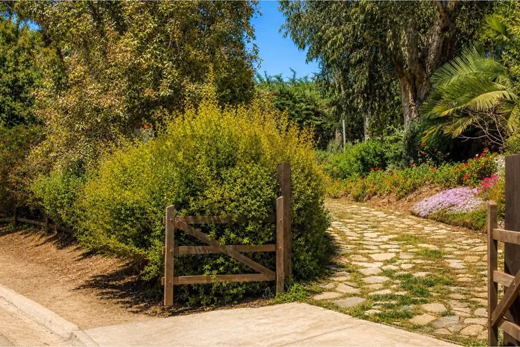 Casa en venta en el centro de cachagua