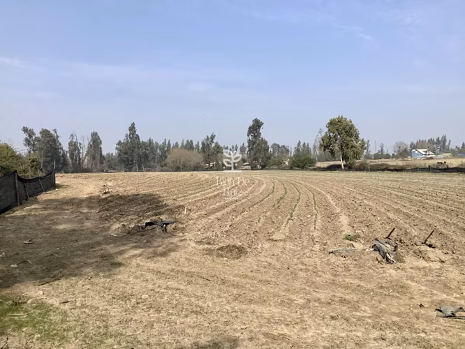 VENTA PARCELA 4 HA CAMINO SANTA ROSA, VILLA ALEGRE, MELIPILLA