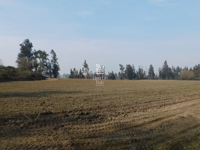 VENTA PARCELA 4 HA CAMINO SANTA ROSA, VILLA ALEGRE, MELIPILLA