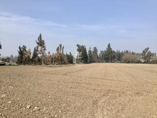 VENTA PARCELA 4 HA CAMINO SANTA ROSA, VILLA ALEGRE, MELIPILLA