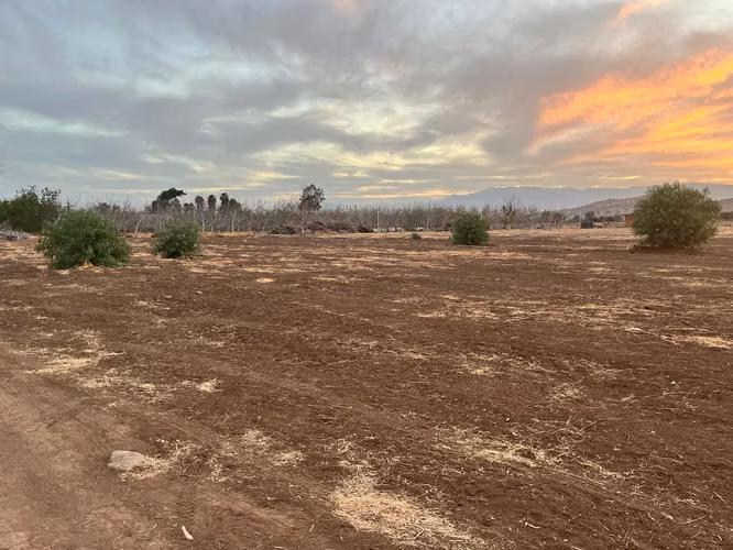 Exclusiva parcela en Viñas de Chacabuco – Naturaleza, tranquilidad y alta plusvalía en Colina - Imagen 6