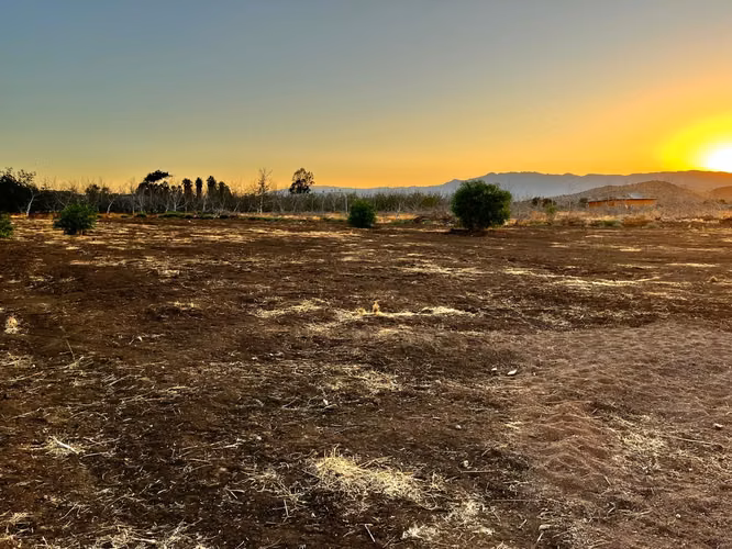 Exclusiva parcela en Viñas de Chacabuco – Naturaleza, tranquilidad y alta plusvalía en Colina - Imagen 4