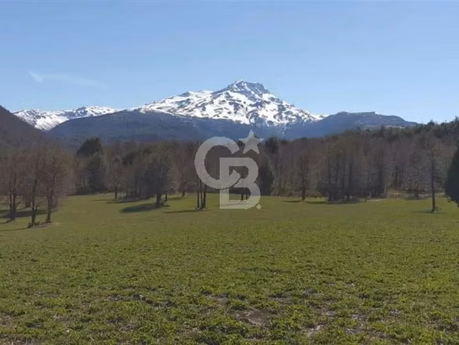 Santuario natural en Curacautín: 212,5 ha para ti