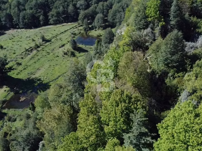 Santuario natural en Curacautín: 212,5 ha para ti