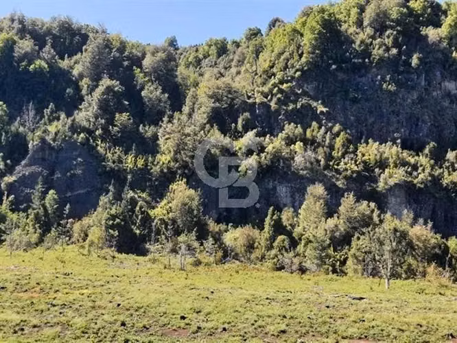 Santuario natural en Curacautín: 212,5 ha para ti