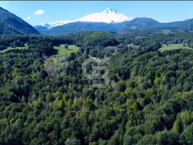 Santuario natural en Curacautín: 212,5 ha para ti