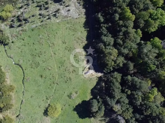Santuario natural en Curacautín: 212,5 ha para ti