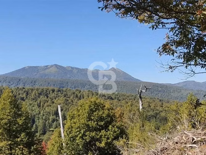 Santuario natural en Curacautín: 212,5 ha para ti
