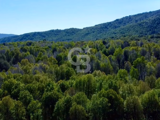Santuario natural en Curacautín: 212,5 ha para ti