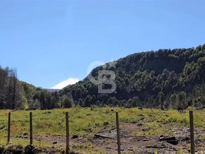 Santuario natural en Curacautín: 212,5 ha para ti