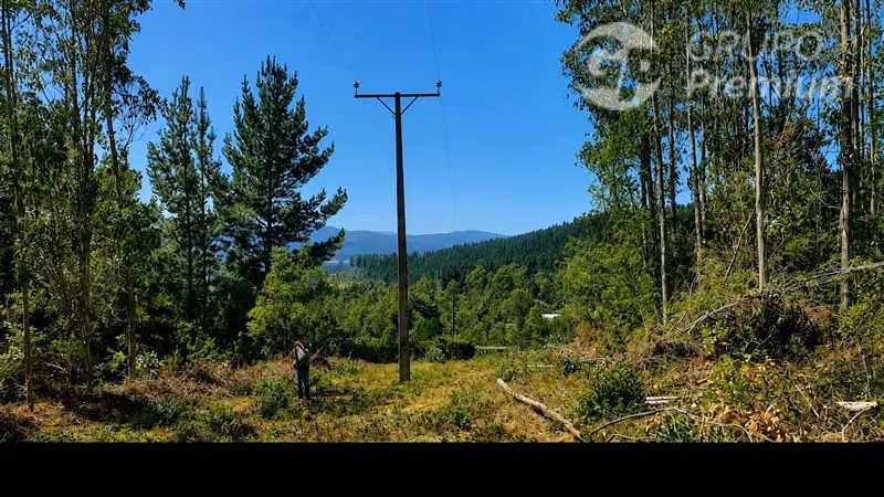 Venta Parcela 6,28 ha con Vertiente Natural en Gorbea
