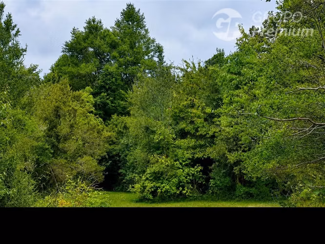 Venta Parcela 6,28 ha con Vertiente Natural en Gorbea