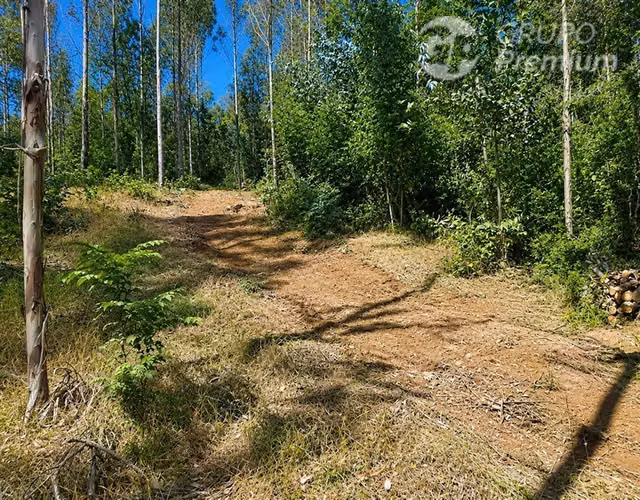 Venta Parcela 6,28 ha con Vertiente Natural en Gorbea