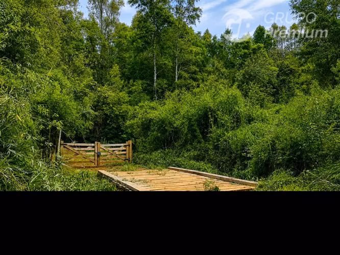 Venta Parcela 6,28 ha con Vertiente Natural en Gorbea