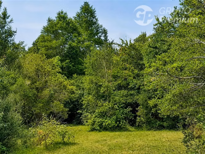 Venta Parcela 6,28 ha con Vertiente Natural en Gorbea