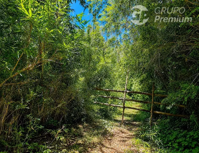 Venta Parcela 6,28 ha con Vertiente Natural en Gorbea