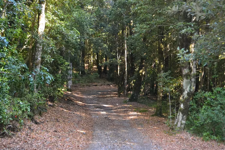 VENTA TERRENO - SITIO 5200MTS Villarrica