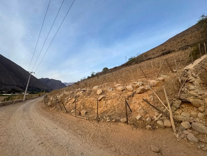 VICUÑA, KM 6,3, RANCHO CHAPARRAL, 74000 M2, SECTOR PERALILLO