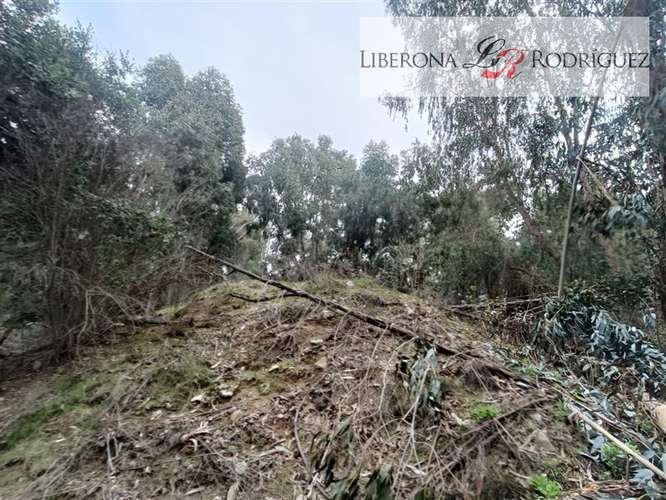Parcela en venta en Quilpué - Imagen 14