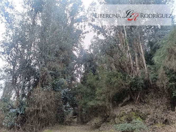 Parcela en venta en Quilpué