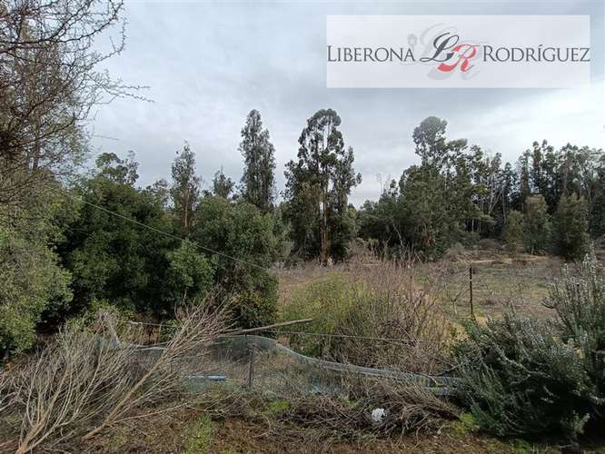 Parcela en venta en Quilpué - Imagen 17
