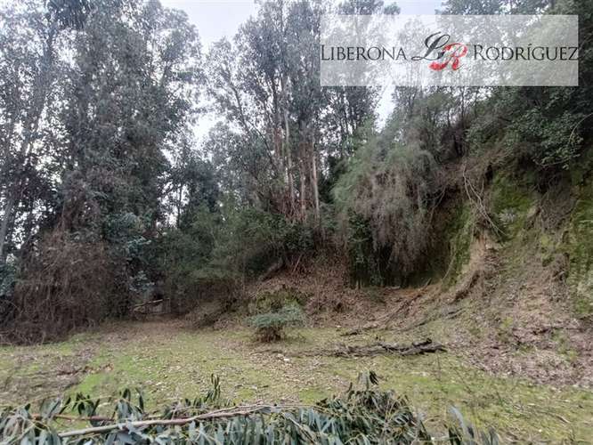 Parcela en venta en Quilpué - Imagen 15