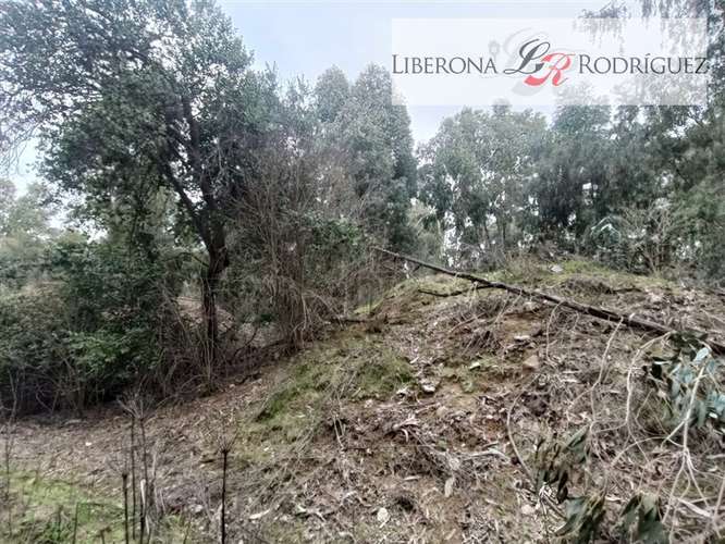 Parcela en venta en Quilpué - Imagen 12