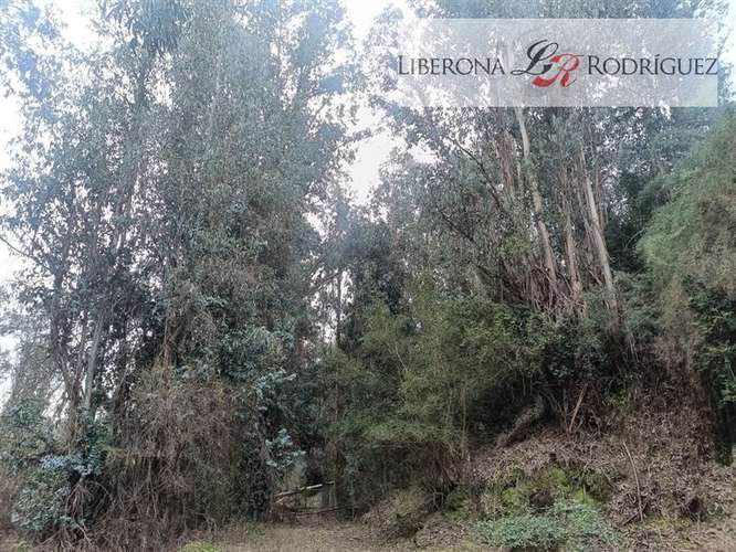 Parcela en venta en Quilpué - Imagen 11
