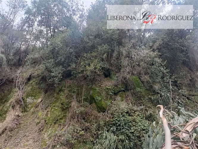 Parcela en venta en Quilpué