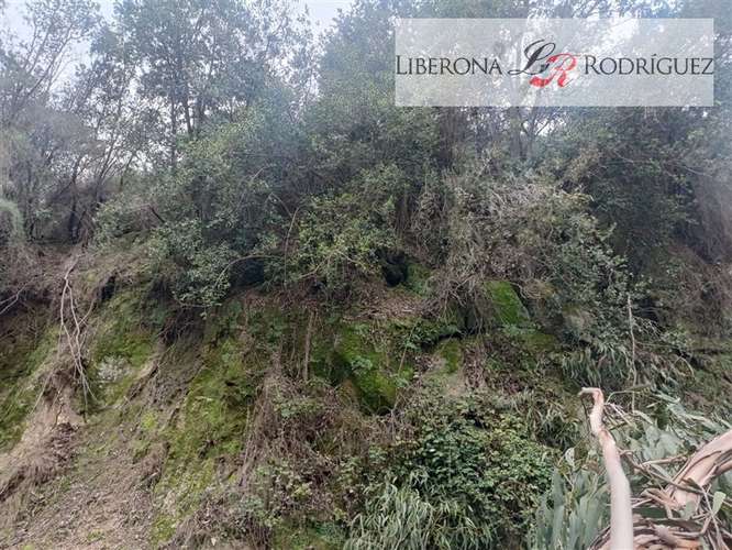 Parcela en venta en Quilpué - Imagen 16