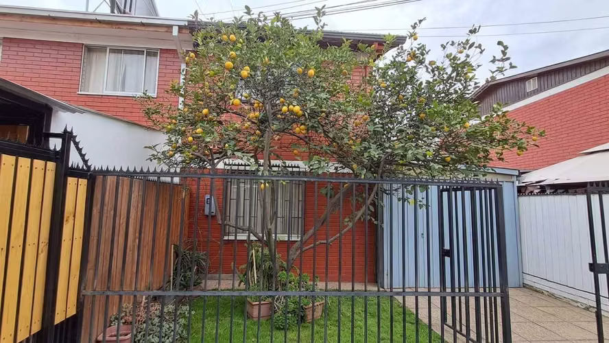 Excelente Conectividad y Entorno Tranquilo (179461)