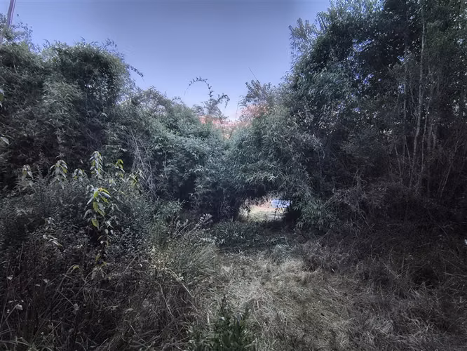 Parcela en venta en Queilén