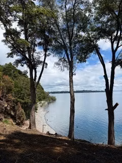 Parcela en venta en Puyehue