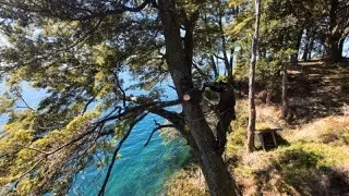 Parcela en venta en Puyehue