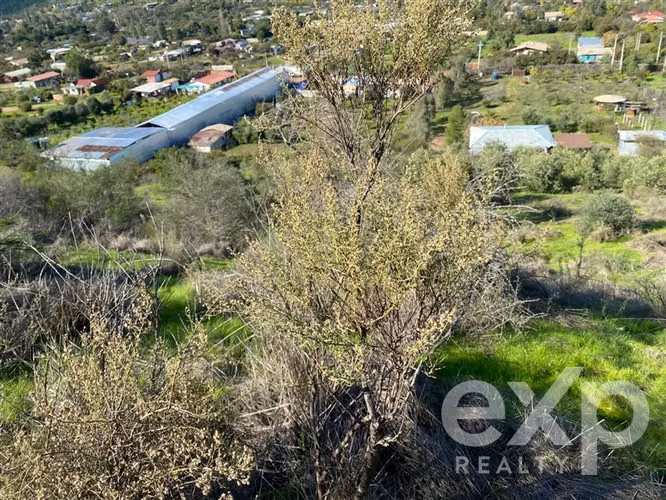 VENDO Parcela de 1Ha en Curacaví 3D 2B REBAJADA casa sólida
