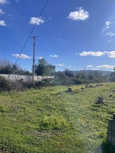 HERMOSA PARCELA 7,07 HAS. EN VENTA EN SECTOR PANGUILEMO - Imagen 3