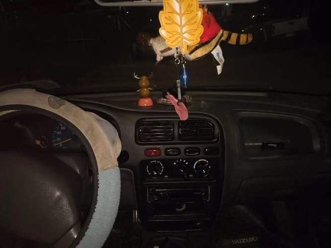 Susuki alto