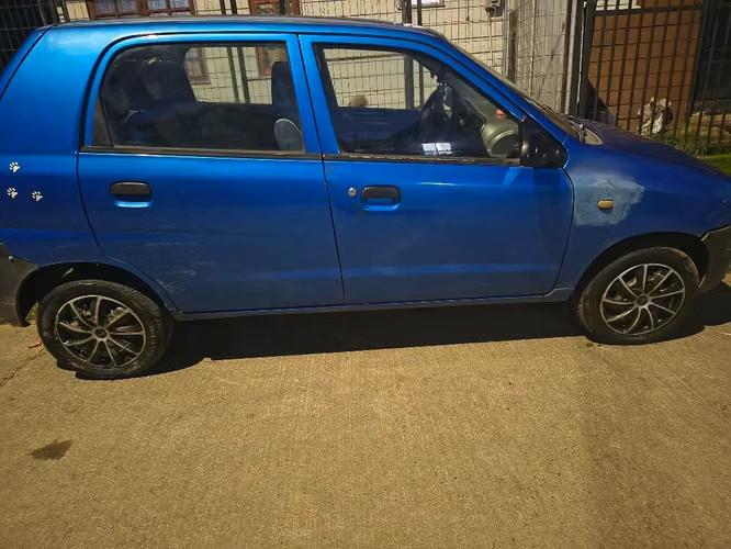Susuki alto